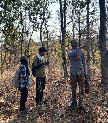 Field survey for feasibility assessment for gaur reintroduction commenced in select protected areas of Madhya Pradesh. Vegetation sampling started in Barkheda and Delawari ranges of Ratapani TR with 79 plots surveyed, along with 10 social surveys. Field team comprising of Ms.