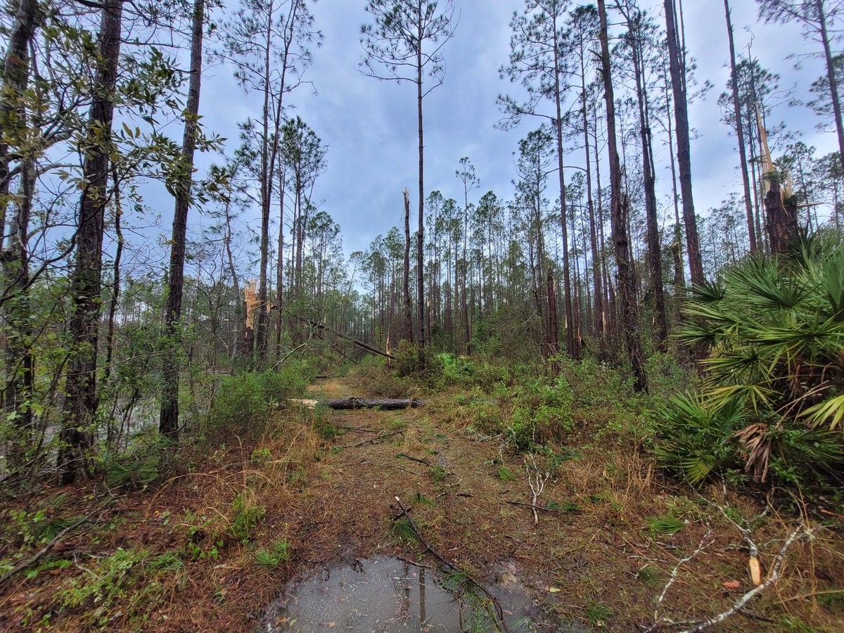 Jonny Handy tweet media