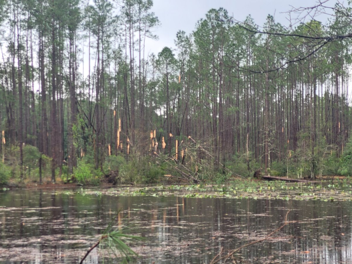 Jonny Handy tweet media