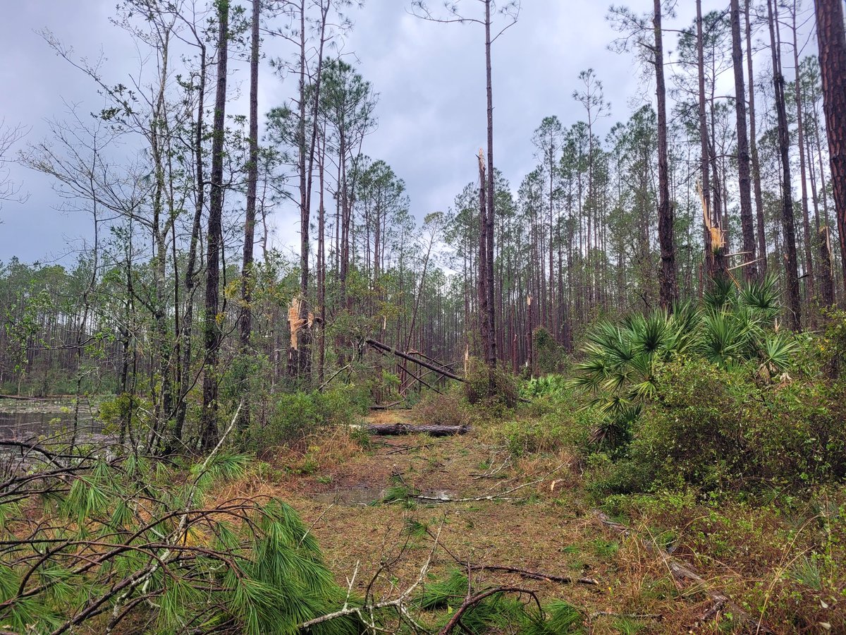 Jonny Handy tweet media