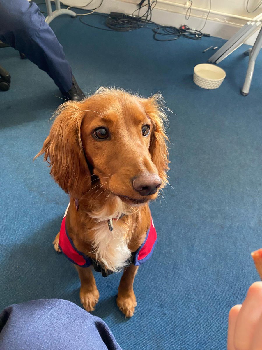 LFB Sutton tweet media