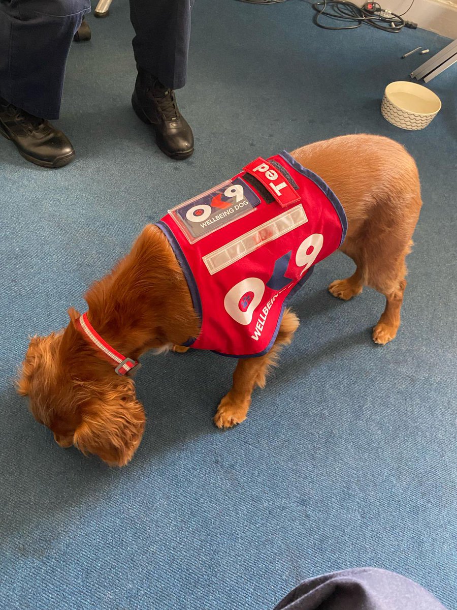 LFB Sutton tweet media