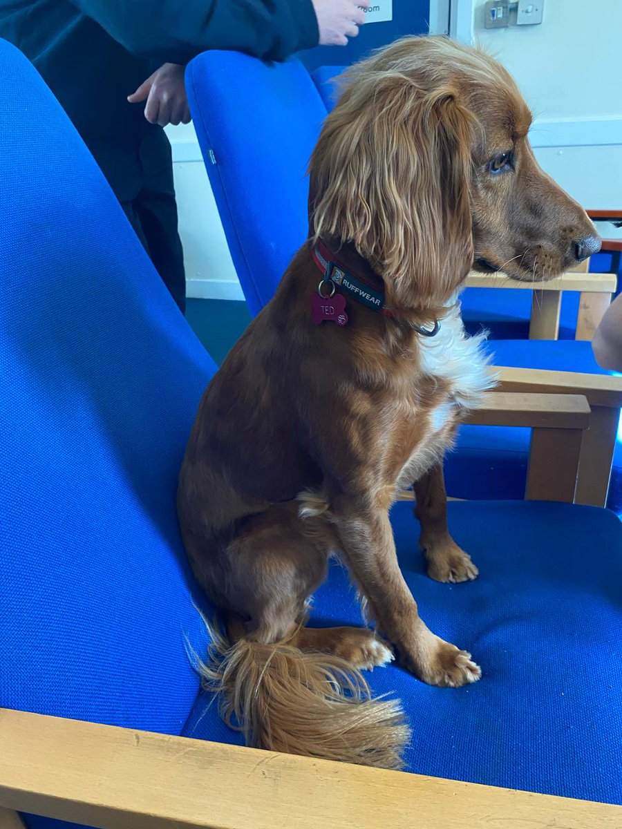 LFB Sutton tweet media