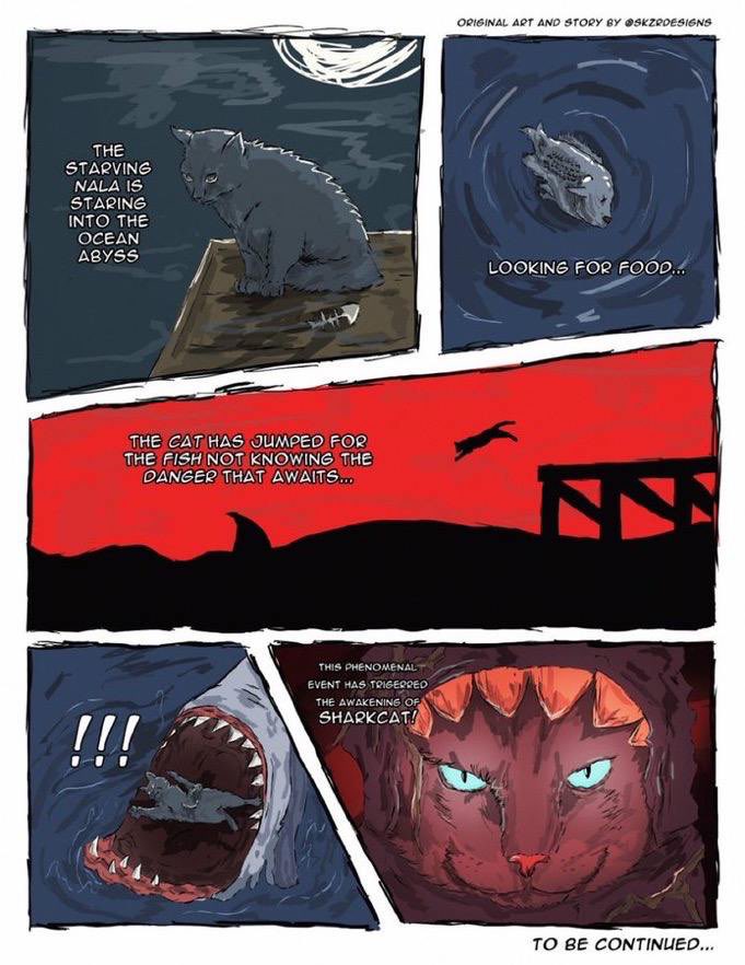 GM. Another day on the journey of the mf shark. 🦈🐱