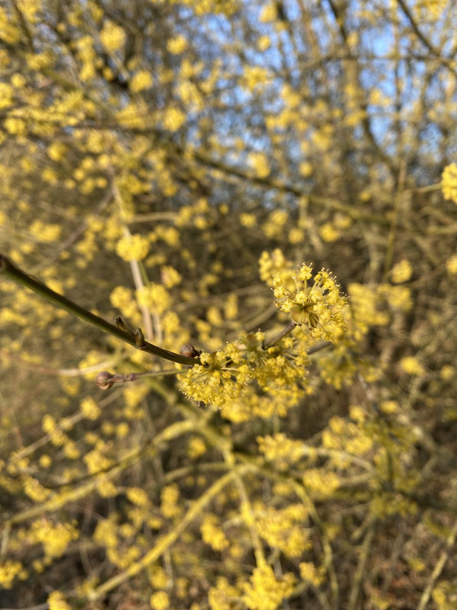 Janina (@janina_anja) on Twitter photo 