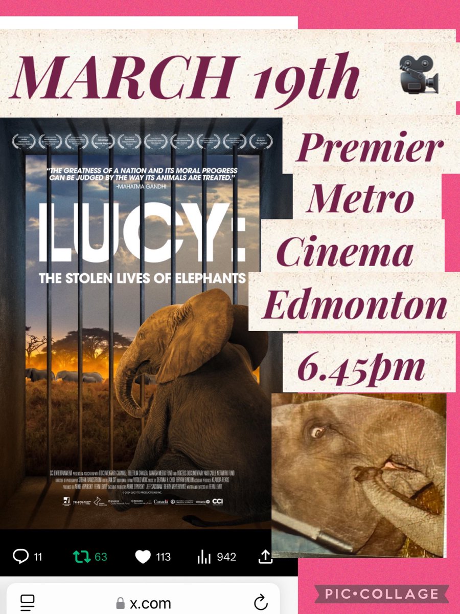 YvonneHooper20's tweet photo. @JulieKi53713414 @CityofEdmonton @BuildingOurZoo @CAZA_AZAC @AonCanada 🇨🇦🐘hurt deliberately for Decades 😣ripping off tax payers to a hearty 🎵 of 181 MILLION
🤥 told to the public about Lucy’s 🐘health & care
Astoundingly poor performance #yegzoo #Edmonton city management
#AnimalAbuse #yegwriter #EnoughIsEnough #MarkCarney2025 #CanadaStrong https://t.co/UDgip3A56T