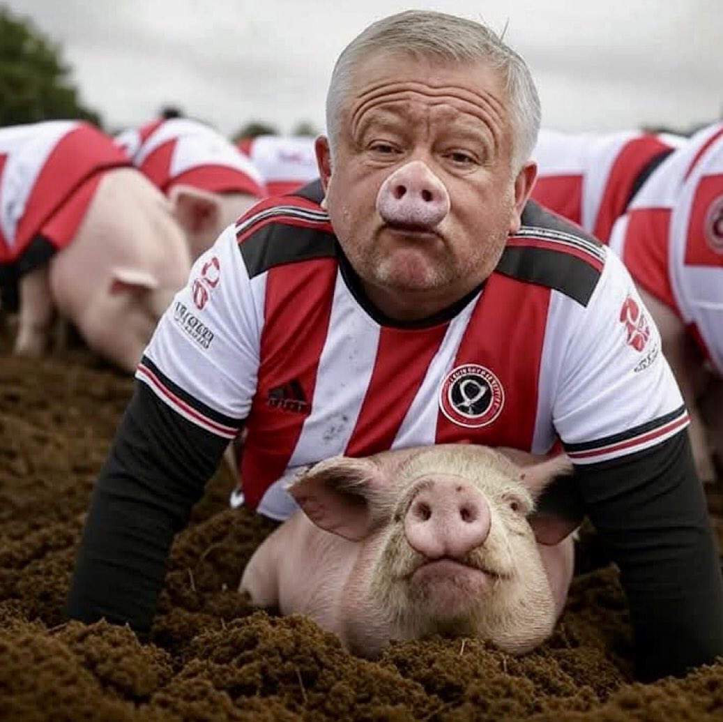 SWFCNorthYorks's tweet image. Wilder. You are the most disliked cretin in football. You were a shite player, and only marginally better as a manager. You were shitting yourself today, and your negativity and fear of losing was clear for all to see. We gifted you a goal, and your keeper saved you. U pillock!!