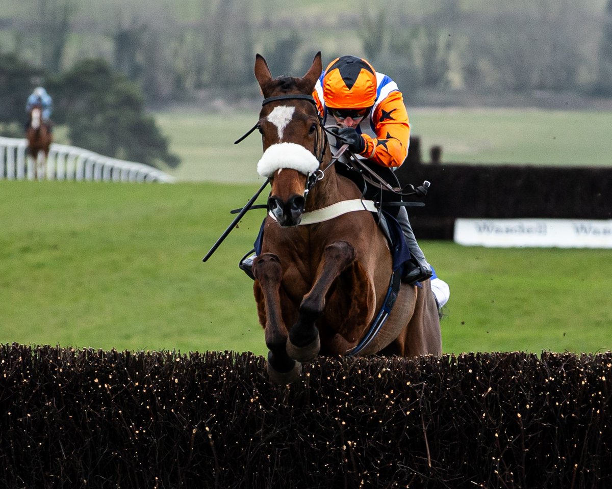 Chepstow Racecourse (@chepstow_racing) on Twitter photo Race 3 Result - Download The Dragonbet App Handicap Chase
🥇 Ask Brewster 4-1
🥈 Safe Destination 11-2
🥉 Militaire 3-1f
Trainer: <a href="/EWilliamsRacing/">Evan Williams</a>
Jockey: <a href="/Adamkwedge/">Adam Wedge</a>
Owner: Midlands Quintet Race 3 Result - Download The Dragonbet App Handicap Chase
🥇 Ask Brewster 4-1
🥈 Safe Destination 11-2
🥉 Militaire 3-1f
Trainer: <a href="/EWilliamsRacing/">Evan Williams</a>
Jockey: <a href="/Adamkwedge/">Adam Wedge</a>
Owner: Midlands Quintet