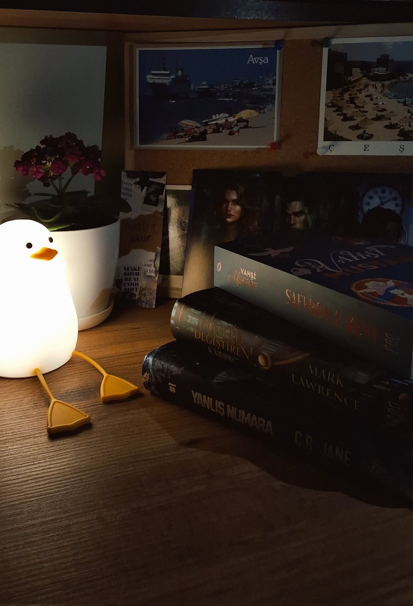 nazliiiokurr's tweet photo. Lapis Yayınları'nın yenileri gelmiş 🫠 Dünyayı Değiştiren Kitap için aşırı heyecanlıyım ❤️‍🔥 Kağıt kalitesi üç kitabın da aşırı güzel çok beğendim ✨️

#prgift https://t.co/pTiG5oipna