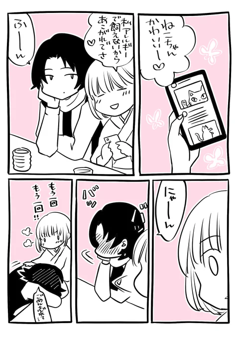 ねこちゃん 