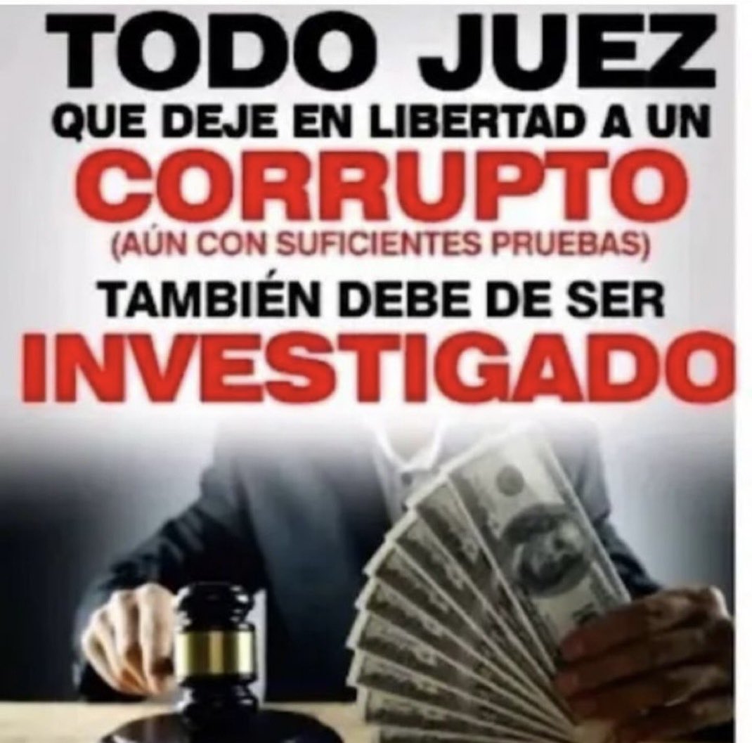 MonicaSdrech's tweet image. 