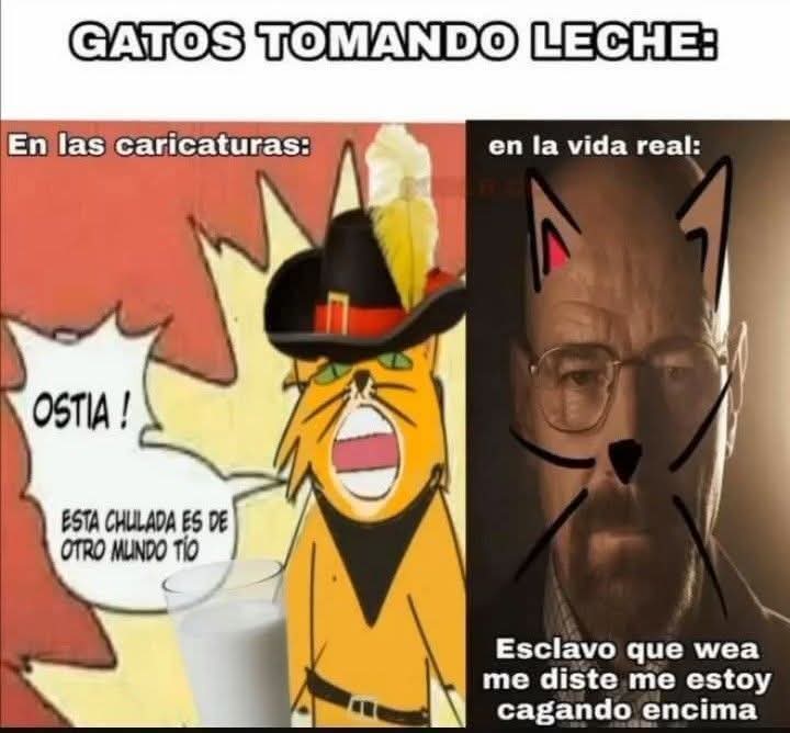 Shitpost Aleatorio tweet media