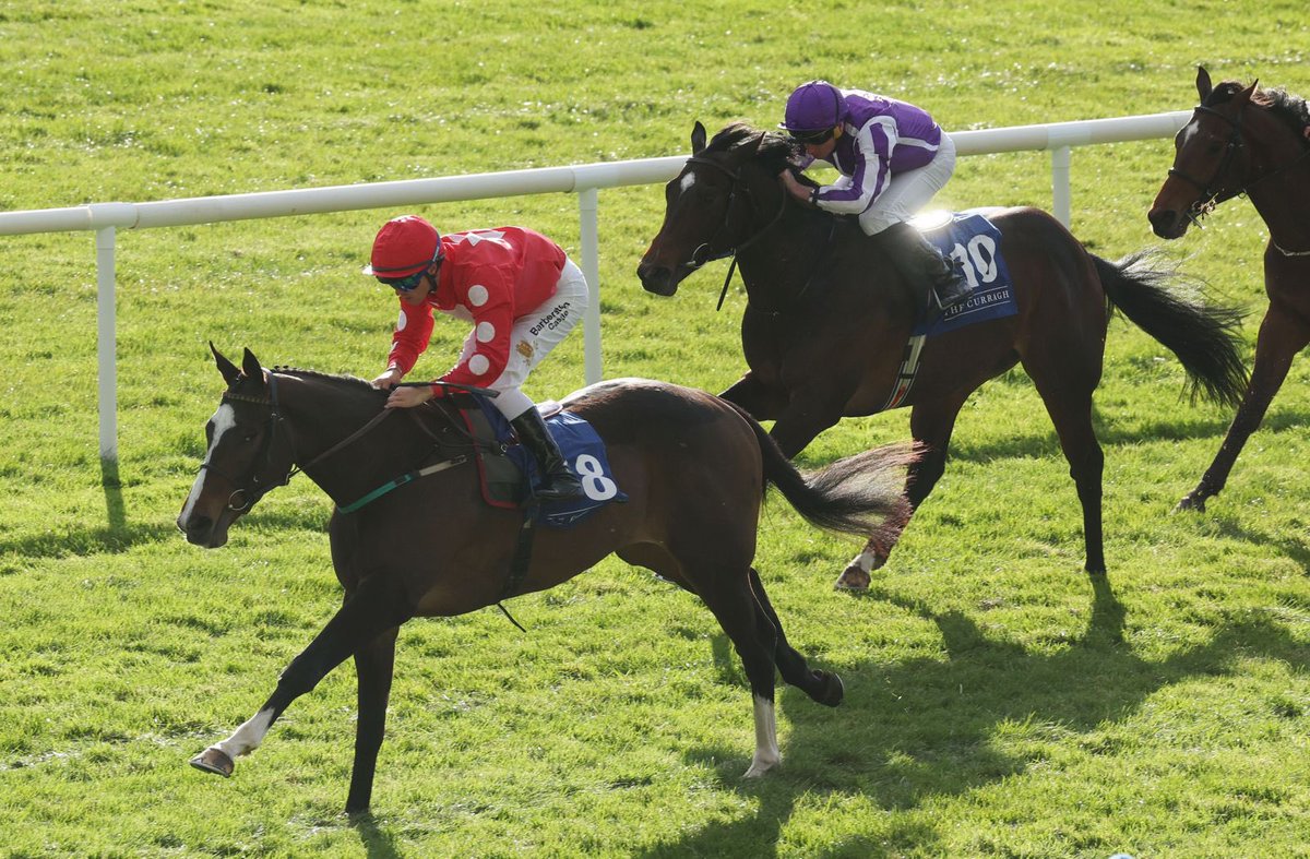 The Curragh Racecourse tweet media