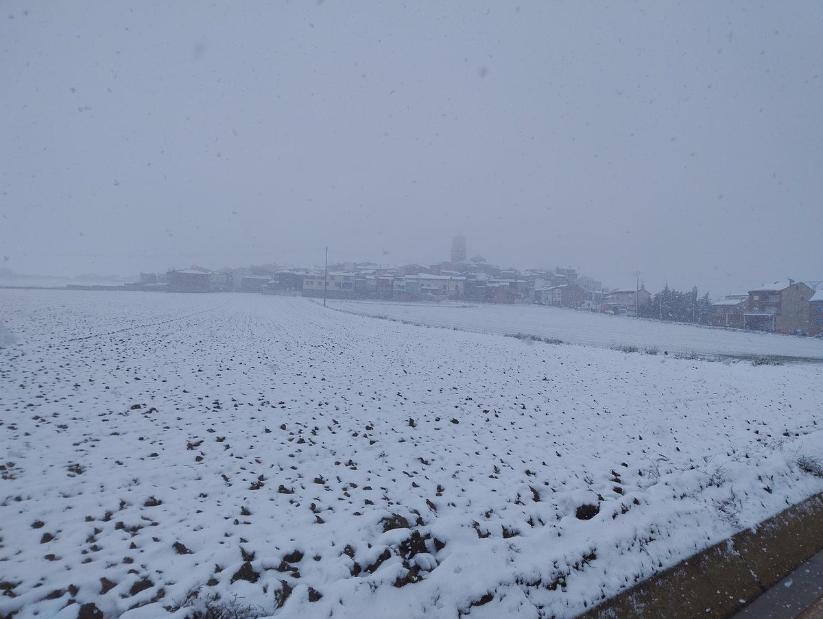 Alejandro tweet media