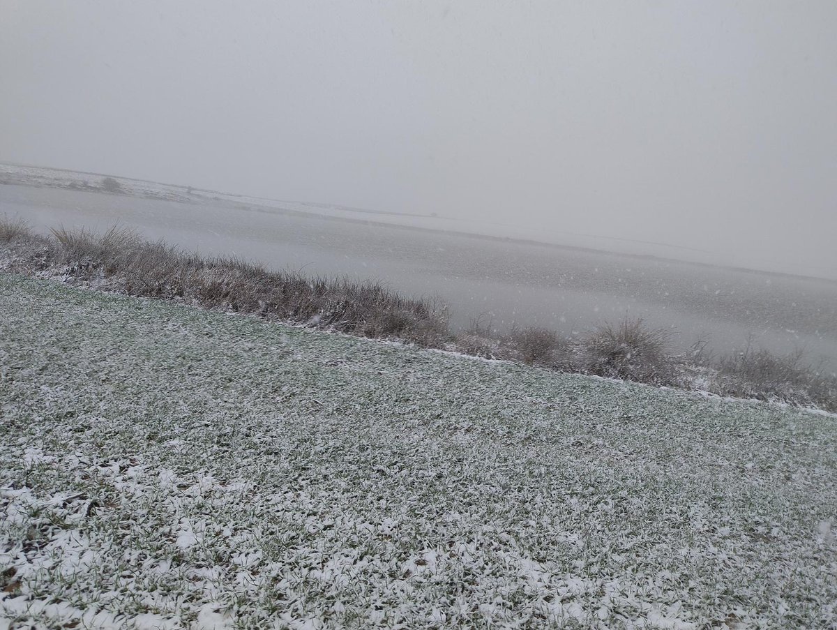 Alejandro tweet media