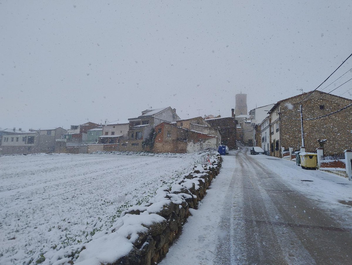 Alejandro tweet media