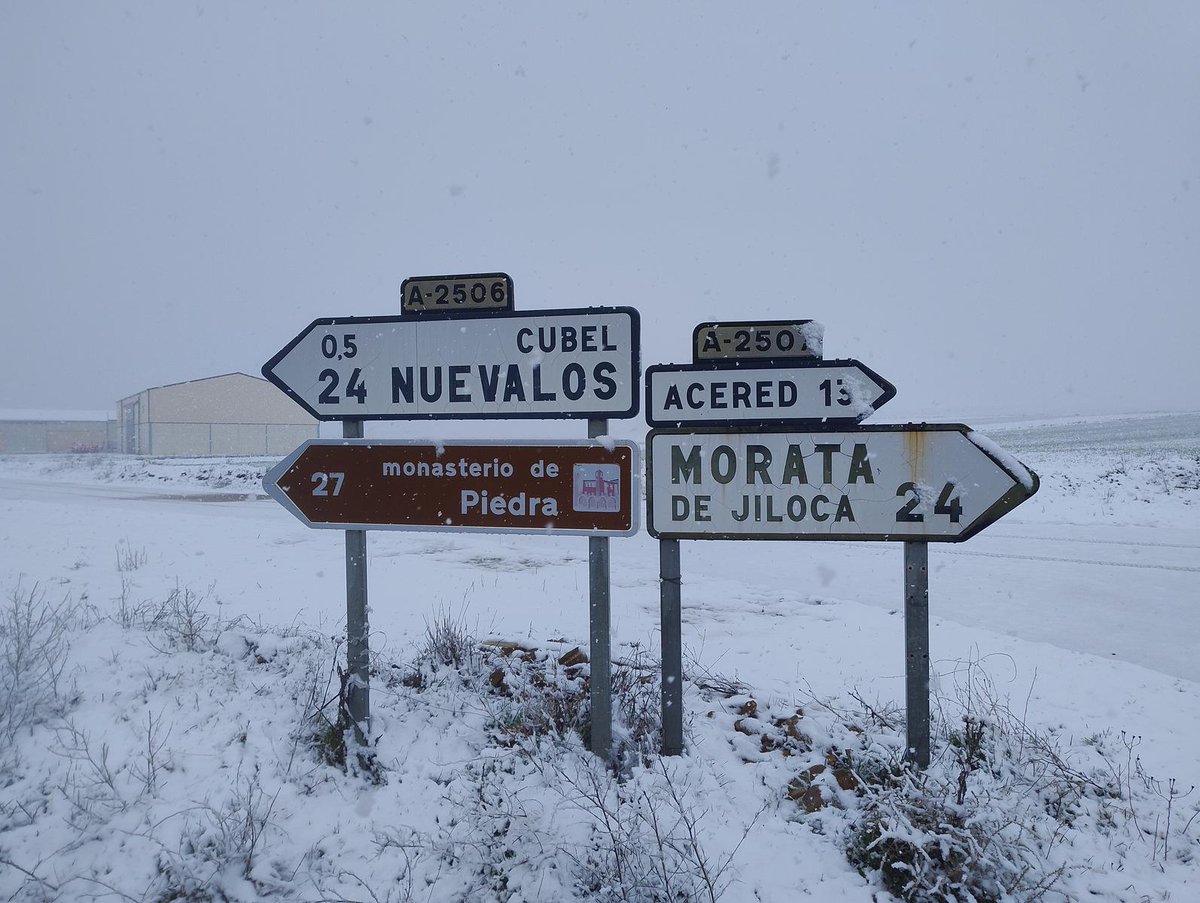 Alejandro tweet media