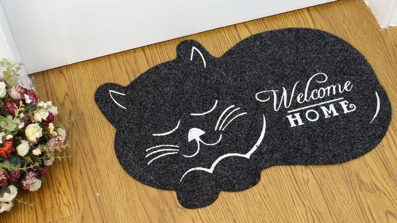 CatifyCo's tweet photo. Meow’s the Time to Shop: Cute Cat Sweaters + More at https://t.co/4EaHmsPBJn! - https://t.co/EswjzdwvzY https://t.co/L1MQJHNY7i