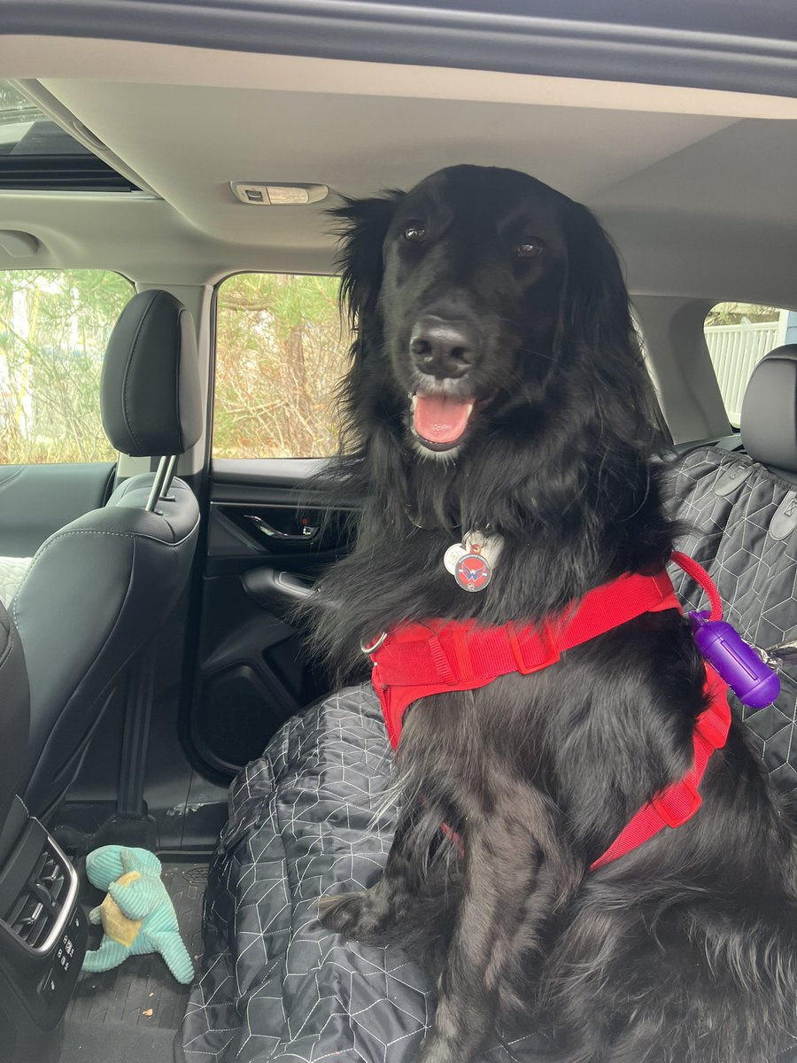 Kija Wilson tweet media