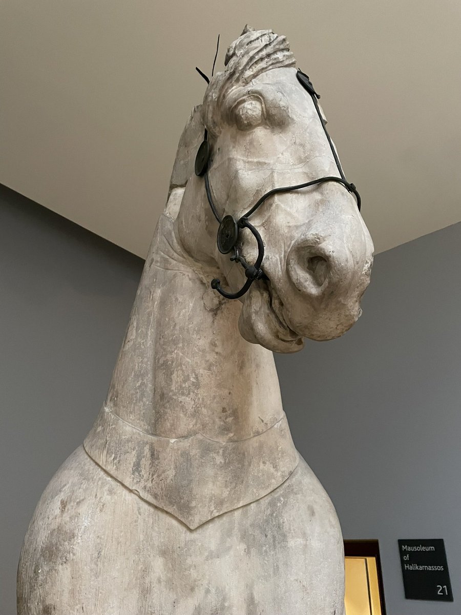 Love this hidden gem <a href="/britishmuseum/">British Museum</a> Huge marble horse, from one of the seven wonders of the ancient world (a mausoleum) c.350 BC.
