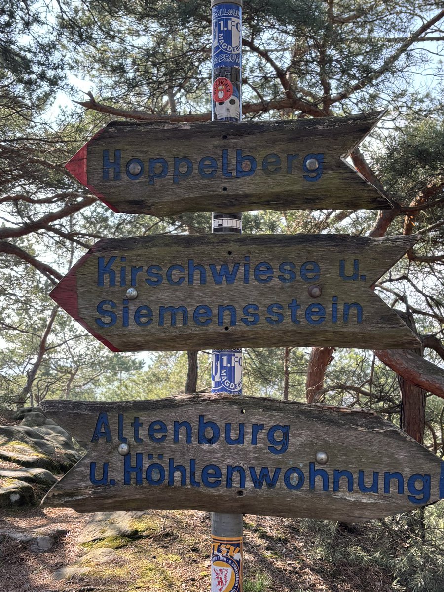 MsPanksy's tweet photo. Hiking in the Harz 🇩🇪 https://t.co/DQhoR9FgwX
