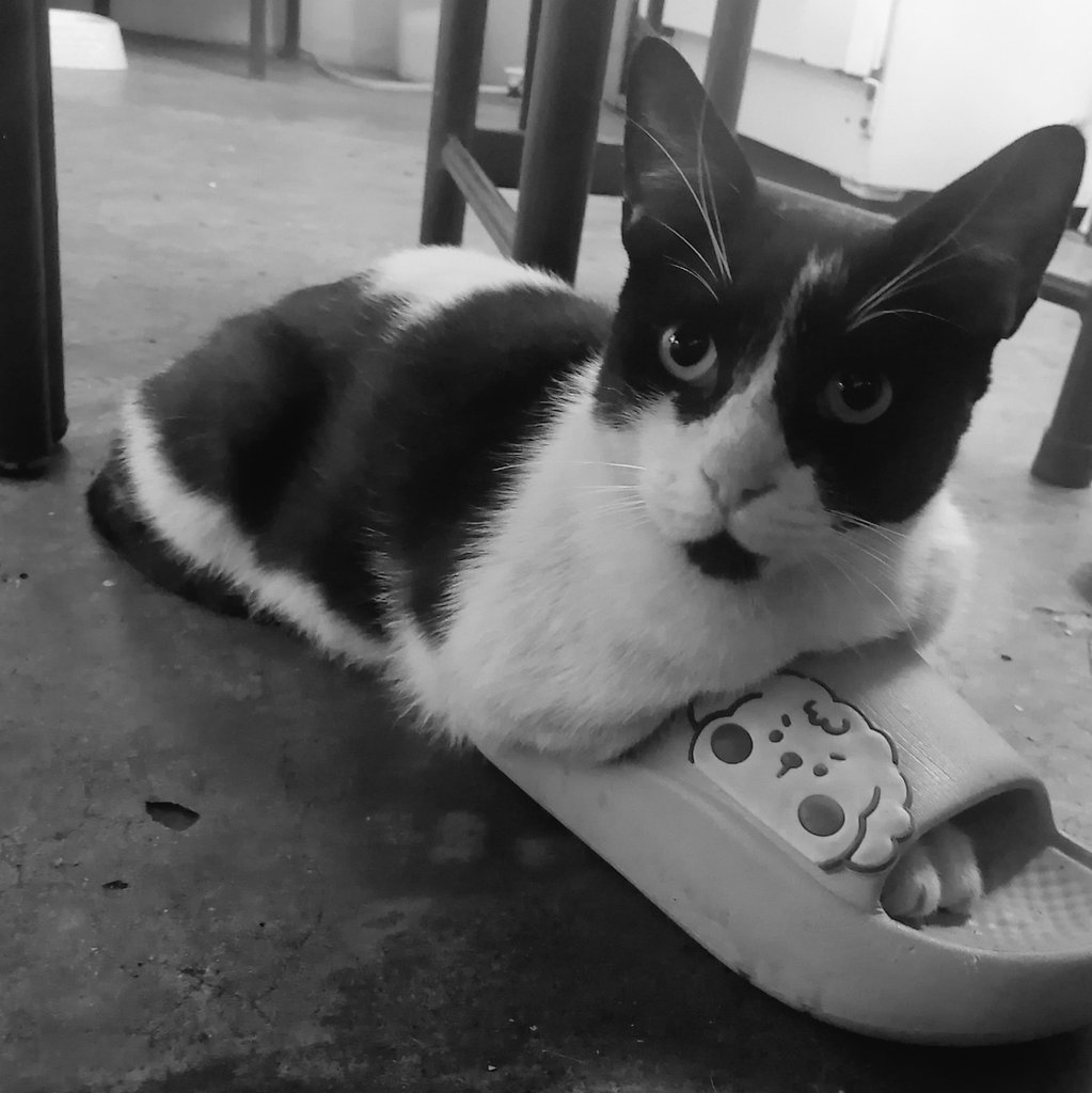 CRYMXN's tweet photo. Amigo, espero verte en la otra vida. Te quiero y te amo como no tienes idea. Te extrañaré mucho.Descansa en Paz mi DOPPIO🥹. https://t.co/jkoqarjCBp
