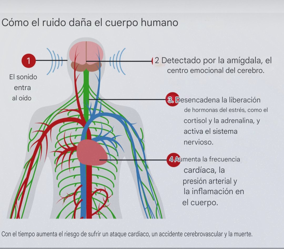 AAVV MADRIDCENTRO tweet media
