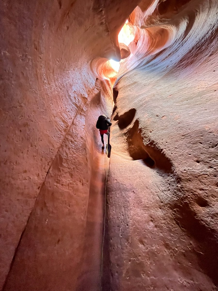 Jackson White tweet media