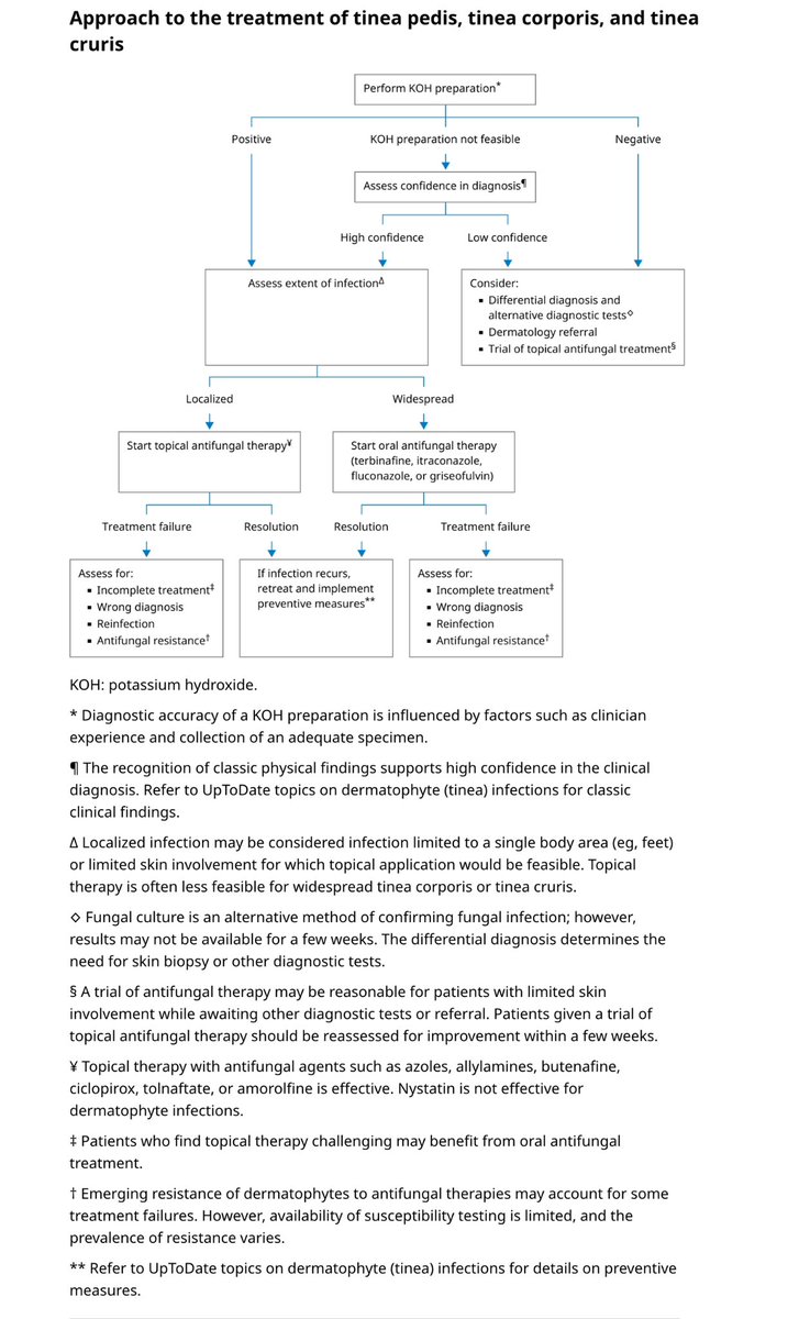 sajjad_smith's tweet photo. 🦠📌 التغريدة المفصلة لعلاج وتشخيص العدوى الفطرية الجلدية (Tinea) للأطباء 👨‍⚕️👩‍⚕️

🔬 1. نظرة عامة على العدوى الفطرية الجلدية

🔹 التينيا (Tinea/Dermatophytosis) هي عدوى فطرية سطحية تصيب الجلد، الأظافر، أو الشعر، سببها الفطريات الجلدية من أجناس Trichophyton, Microsporum, Epidermophyton.
🔹 الأشكال السريرية الشائعة:
✅ Tinea pedis (قدم الرياضي) 🦶 – إصابة القدم وبين الأصابع.
✅ Tinea corporis (القوباء الحلقية) – إصابة الجسم بجروح دائرية متقشرة.
✅ Tinea cruris (حكة جوك) 🩳 – إصابة المنطقة الأربية والفخذين.

📊 2. التشخيص (حسب الدليل الإكلينيكي)

🔍 1️⃣ الفحص السريري
•بقع حلقية متقشرة، حواف مرتفعة، توسع مركزي، حكة شديدة.
•وجود إصابة متزامنة في الأظافر، فروة الرأس، اليدين أو القدمين يزيد من احتمالية التينيا.

🔍 2️⃣ الفحوصات المخبرية
📌 اختبار هيدروكسيد البوتاسيوم (KOH Test) 🔬:
✅ حساسية عالية وسريعة – تظهر خيوط فطرية متفرعة (septate hyphae).
📌 الزراعة الفطرية (Fungal Culture) 🧫:
✅ دقيقة لكنها تستغرق أسابيع – تستخدم عند الشك في التشخيص أو حالات مقاومة العلاج.
📌 PCR Test 🧪 (اختبار الحمض النووي للفطريات):
✅ متطور، حساس، ومفيد في حالات التينيا المقاومة.

⸻

🩺 3. العلاج: الخطة وفقًا لدليل UpToDate

🔹 👣 1️⃣ Tinea Pedis (قدم الرياضي)
📌 حالة موضعية:
•العلاج الموضعي مضادات الفطريات مثل: كلوتريمازول، ميكونازول، تيربينافين، نافيفين، كيتوكونازول، تولنافتيت.
•يُستخدم الكريم مرتين يوميًا لمدة 4 أسابيع.
•عدم استخدام النيستاتين لأنه غير فعال ضد الفطريات الجلدية.
📌 حالة واسعة أو مقاومة للعلاج الموضعي:
•العلاج الفموي:
✅ تيربينافين (Terbinafine) 250mg يوميًا لمدة أسبوعين.
✅ إيتراكونازول (Itraconazole) 200mg يوميًا لمدة أسبوعين.
✅ فلوكونازول (Fluconazole) 150mg أسبوعيًا لمدة 4 أسابيع.
📌 إذا فشل العلاج الفموي:
•تأكيد التشخيص باختبار KOH أو زراعة فطرية.
•الاشتباه في مقاومة الفطريات (تزايد حالات T. indotineae المقاومة للتيربينافين).

🔹 🦵 2️⃣ Tinea Corporis (القوباء الحلقية)
📌 عدوى موضعية (آفة محدودة):
•العلاج الموضعي لمدة 2-3 أسابيع بمضادات الفطريات الموضعية مثل:
✅ Azoles (كلوتريمازول، ميكونازول).
✅ Allylamines (تيربينافين، نافيفين).
✅ Ciclopirox, Butenafine, Tolnaftate.
📌 عدوى منتشرة أو مقاومة:
•العلاج الفموي:
✅ تيربينافين 250mg يوميًا لمدة أسبوعين.
✅ إيتراكونازول 200mg يوميًا لمدة أسبوعين.
✅ فلوكونازول 150mg أسبوعيًا لمدة 4 أسابيع.
📌 حالات مقاومة أو متكررة:
•إجراء زراعة فطرية أو اختبار الحساسية الدوائية.
•النظر في غريزيوفلفين (Griseofulvin) 500-1000mg يوميًا لمدة 2-4 أسابيع.

🔹 🩳 3️⃣ Tinea Cruris (حكة جوك)
📌 عدوى موضعية:
•مضادات الفطريات الموضعية لمدة 2-4 أسابيع.
•يجب علاج أي تينيا قدم مصاحبة لتجنب الانتكاس.
📌 عدوى واسعة أو مقاومة:
•العلاج الفموي بنفس جرعات Tinea Corporis.
📌 التدابير الوقائية:
•الحفاظ على جفاف المنطقة الأربية.
•ارتداء ملابس فضفاضة قطنية.
•استخدام بودرة مضادة للفطريات.

⸻

⚠️ 4. أسباب فشل العلاج ومتى نحول المريض؟

🚨 أسباب فشل العلاج:
❌ توقف العلاج قبل الشفاء التام (المريض يتحسن ثم يعود المرض بسبب الإيقاف المبكر).
❌ التشخيص الخاطئ (تشابه الأعراض مع الأكزيما، الصدفية، التهاب الجلد الدهني).
❌ مقاومة الفطريات للأدوية (تزايد حالات T. indotineae المقاومة للتيربينافين).
❌ إعادة العدوى من الملابس، المناشف، الأحذية.

📌 متى نحول المريض إلى الجلدية؟
✅ عدم استجابة العدوى للعلاج الموضعي بعد 4 أسابيع.
✅ استمرار العدوى رغم العلاج الفموي.
✅ اشتباه عدوى بكتيرية ثانوية (قيح، ألم، احمرار شديد).
✅ ضعف مناعي مثل السكري، مثبطات المناعة، HIV.
✅ الحاجة إلى تأكيد التشخيص بالفحوصات المعملية.

⸻

🚀 5. الوقاية ومنع تكرار العدوى

✅ الحفاظ على جفاف الجلد، خصوصًا بين الأصابع والمنطقة الأربية.
✅ علاج أي تينيا في الأظافر أو القدم لتجنب انتشارها لأماكن أخرى.
✅ استخدام بودرة مضادة للفطريات في الأحذية والجوارب.
✅ تجنب مشاركة المناشف أو الملابس مع الآخرين.
✅ ارتداء جوارب قطنية وملابس فضفاضة للحد من الرطوبة والتعرق.
✅ تنظيف الأحذية بالبودرة المضادة للفطريات.

📚 📖 المصدر:
🔗 UpToDate - Dermatophyte (tinea) infections (2025).

📊 🖼️ الصور المرفقة توضح التشخيص والعلاج خطوة بخطوة.