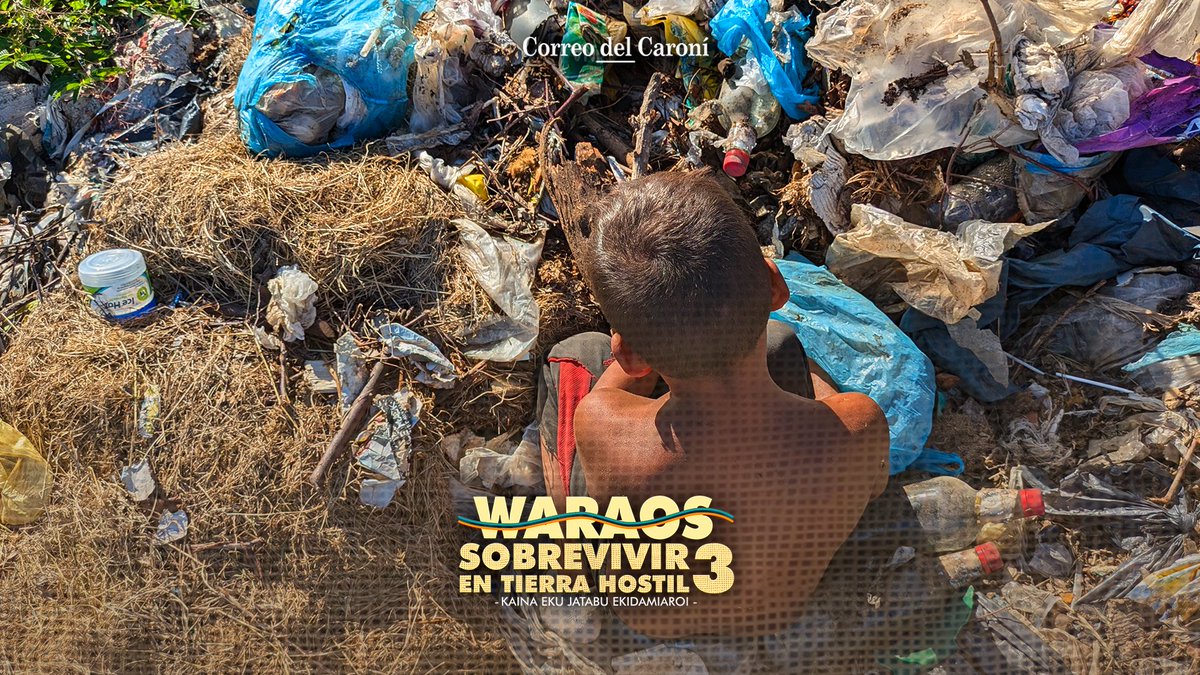 CorreodelCaroni's tweet photo. #Waraos 🔬 | Para 2021 el 95% de la población warao 🛖 sufre desnutrición y parasitosis. Malaria, cólera, difteria y tuberculosis resurgen con fuerza, de acuerdo con @FundaLaSalle. Lee el reportaje 👇:

➡ https://t.co/NyQY2WWbXp https://t.co/Bc0vfnOIhw