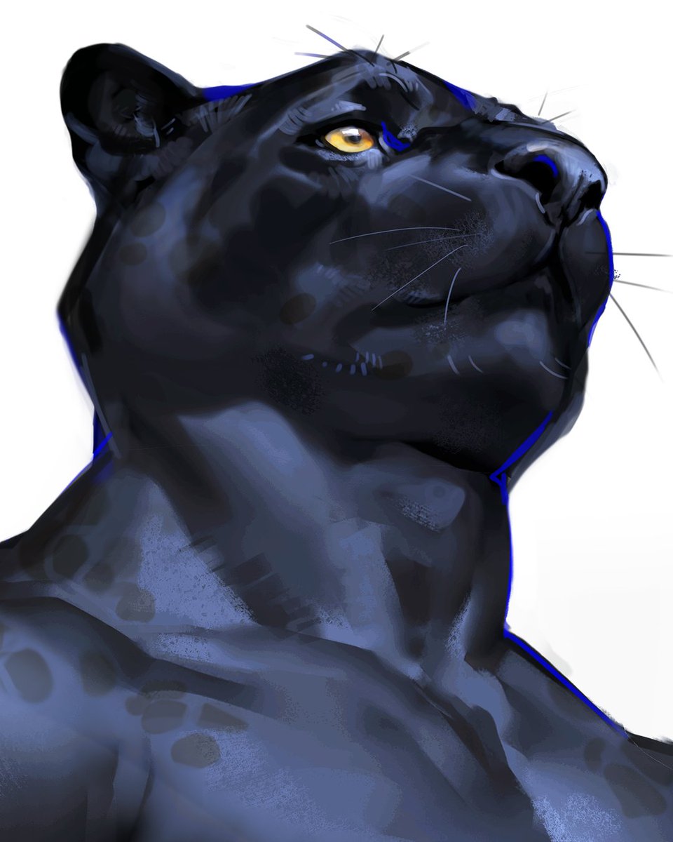 working on another posing, low angle are not easy with felines 🐱