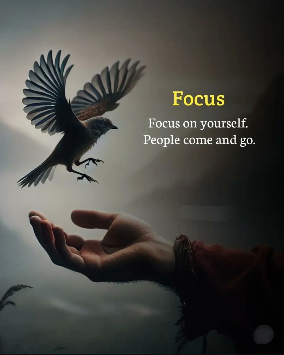 Mind_Essentials's tweet photo. https://t.co/hbjZqEkCvp