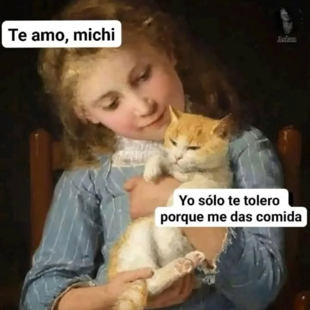 MyCatsYouCats's tweet photo. https://t.co/ent1wCJhhl