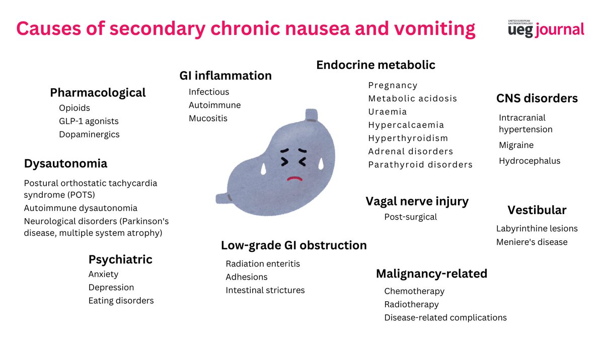 UEGJ (@uegjournal) on Twitter photo Managing chronic nausea & vomiting patients is tough, but <a href="/MalageladaC/">Carolina Malagelada</a>'s guidelines provide invaluable insights:
🔍 DG algorithm
📋 Secondary causes of 🤢 (see infographic)
🔑 Differences between vomiting, rumination & regurgitation
👉🏻 onlinelibrary.wiley.com/doi/10.1002/ue…
<a href="/my_ueg/">my_UEG</a> <a href="/esnm_eu/">ESNM.eu</a> Managing chronic nausea & vomiting patients is tough, but <a href="/MalageladaC/">Carolina Malagelada</a>'s guidelines provide invaluable insights:
🔍 DG algorithm
📋 Secondary causes of 🤢 (see infographic)
🔑 Differences between vomiting, rumination & regurgitation
👉🏻 onlinelibrary.wiley.com/doi/10.1002/ue…
<a href="/my_ueg/">my_UEG</a> <a href="/esnm_eu/">ESNM.eu</a>