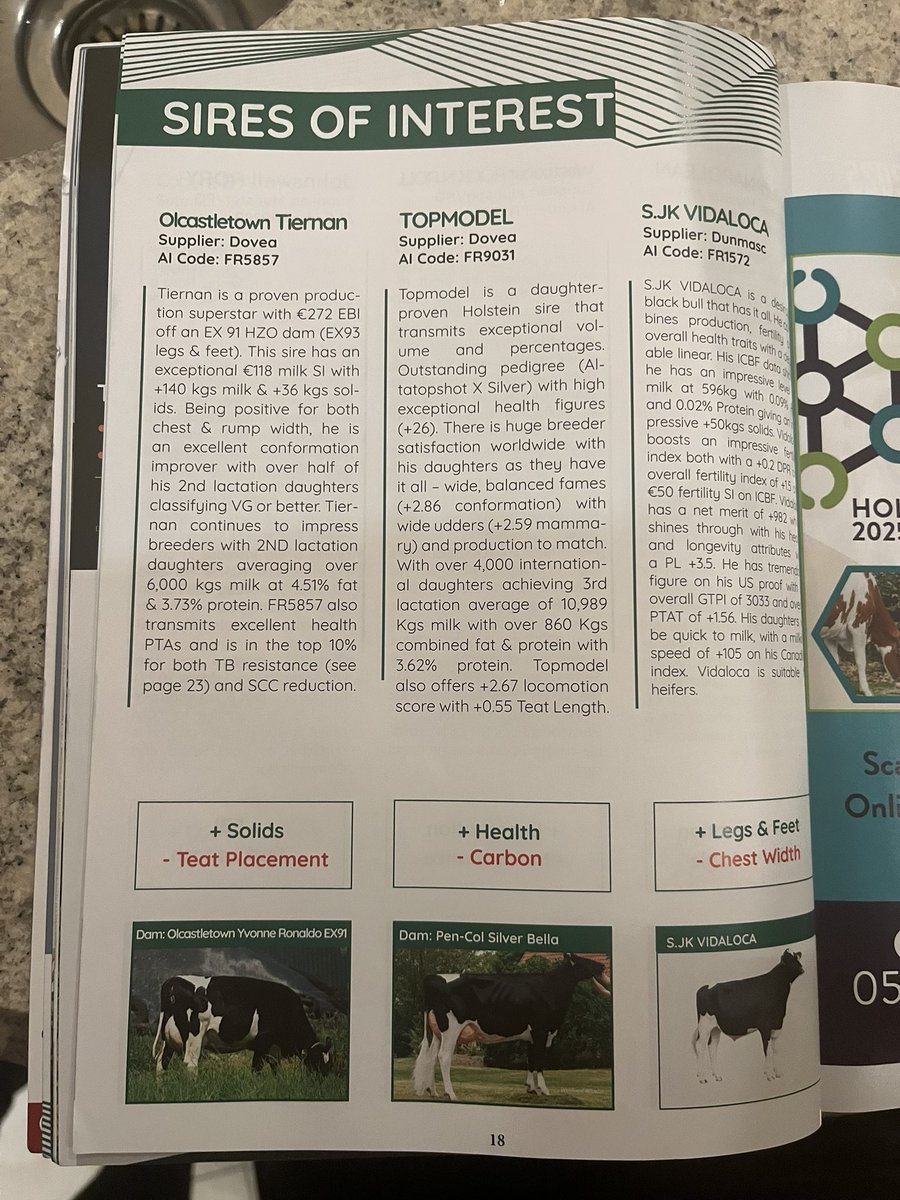 Olcastletown Herd🐄 tweet media