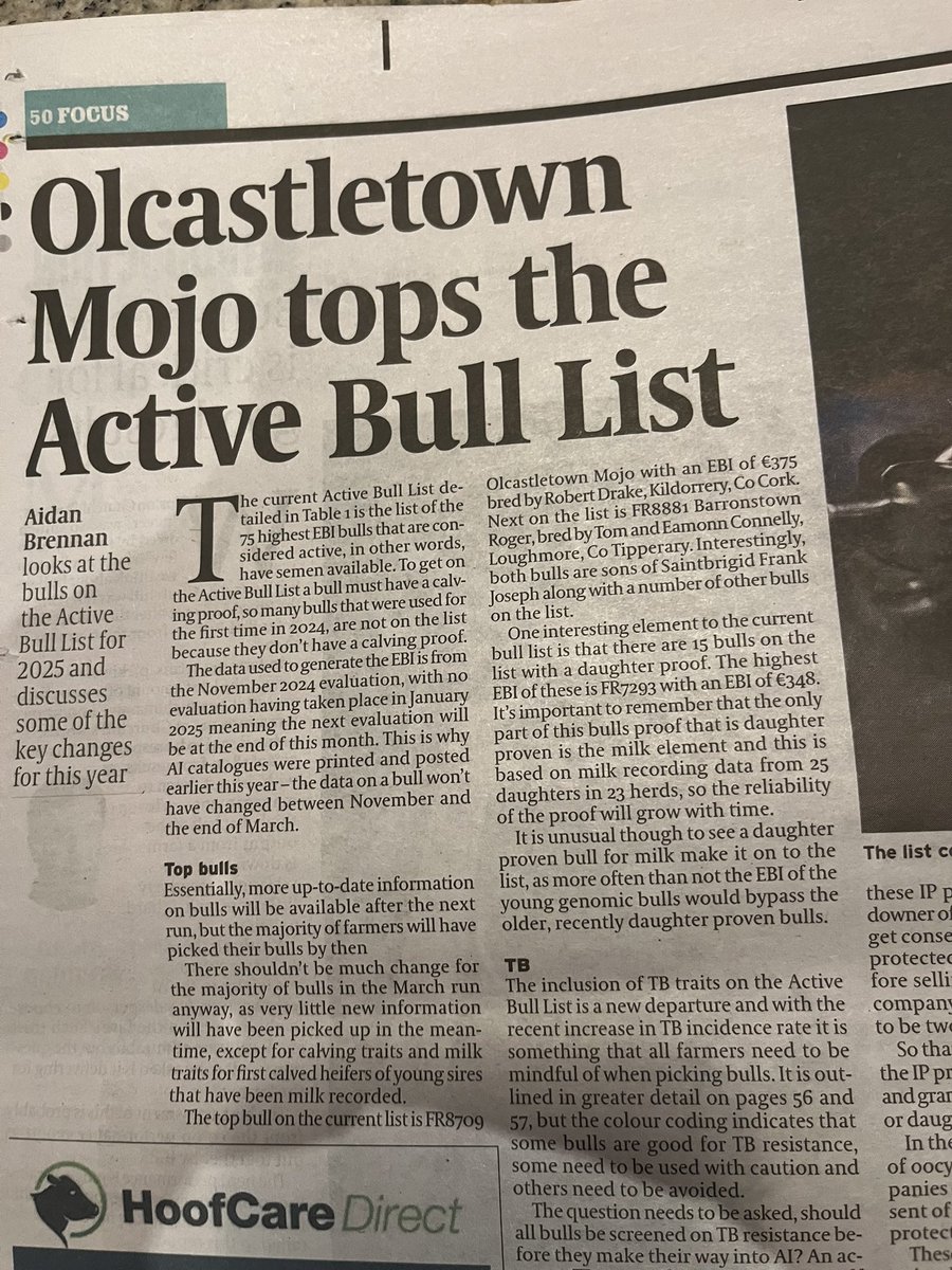 Olcastletown Herd🐄 tweet media
