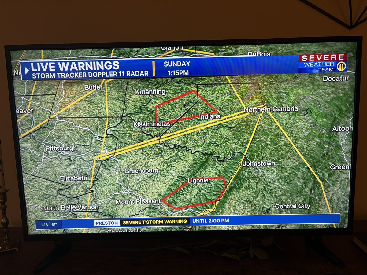 Addison Albert tweet media