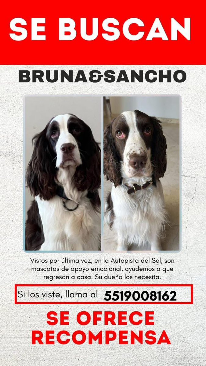 NatalieDeRosas's tweet photo. Por favor, ayudemos a compartir!!

"Hoy nos quitaron una camioneta RAM doble cabina en la autopista del Sol. Con violencia, 4 sujetos con armas largas, en una Suburban plateada Dentro de la camioneta se quedaron mis perros por si los dejaron en la autopista del Sol o algún pueblo https://t.co/K7GKv68qb2