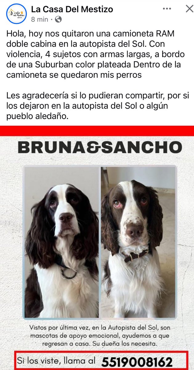NatalieDeRosas's tweet photo. Por favor, ayudemos a compartir!!

"Hoy nos quitaron una camioneta RAM doble cabina en la autopista del Sol. Con violencia, 4 sujetos con armas largas, en una Suburban plateada Dentro de la camioneta se quedaron mis perros por si los dejaron en la autopista del Sol o algún pueblo https://t.co/K7GKv68qb2