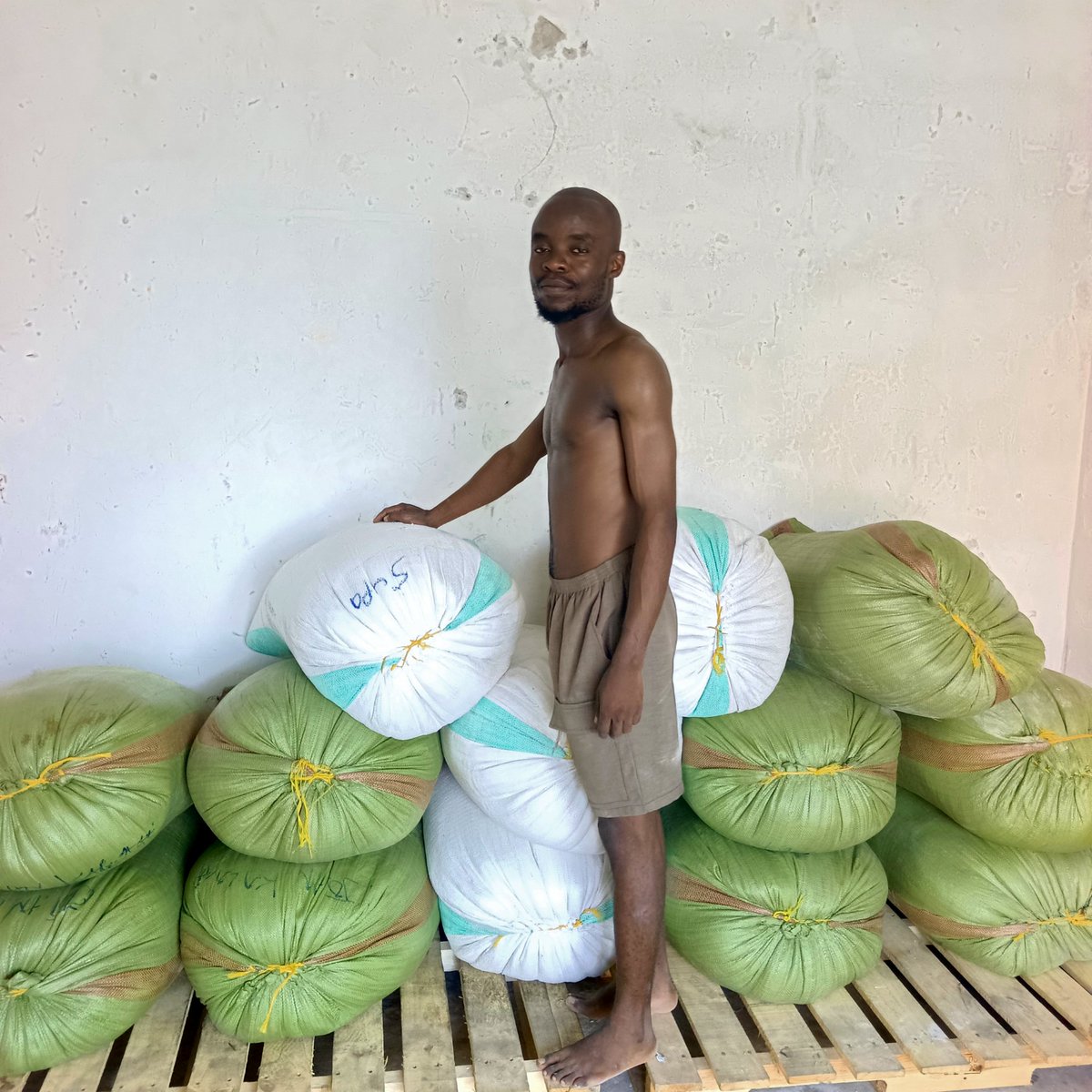 kalage_jr's tweet photo. Zimebaki gunia 13 tu hizi, upo Mchele wa Kilogram moja Tsh 2,400 mpaka Kilogram moja Tsh 3,000.

Nunua mchele kilo 200 upitie Perfume Bamaga moja bure.

☎️ 0678213259 https://t.co/nNH10Moavn