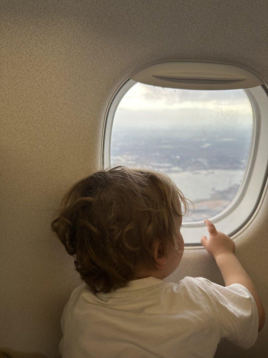 Tom Daley tweet media