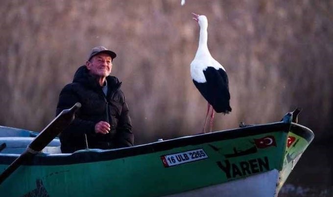 kosartunay's tweet photo. Herkes Leylek seneye gelmez diye korkuyor.Kimse ADEM ölür diye korkmuyor.! https://t.co/J9UHvEPWwy