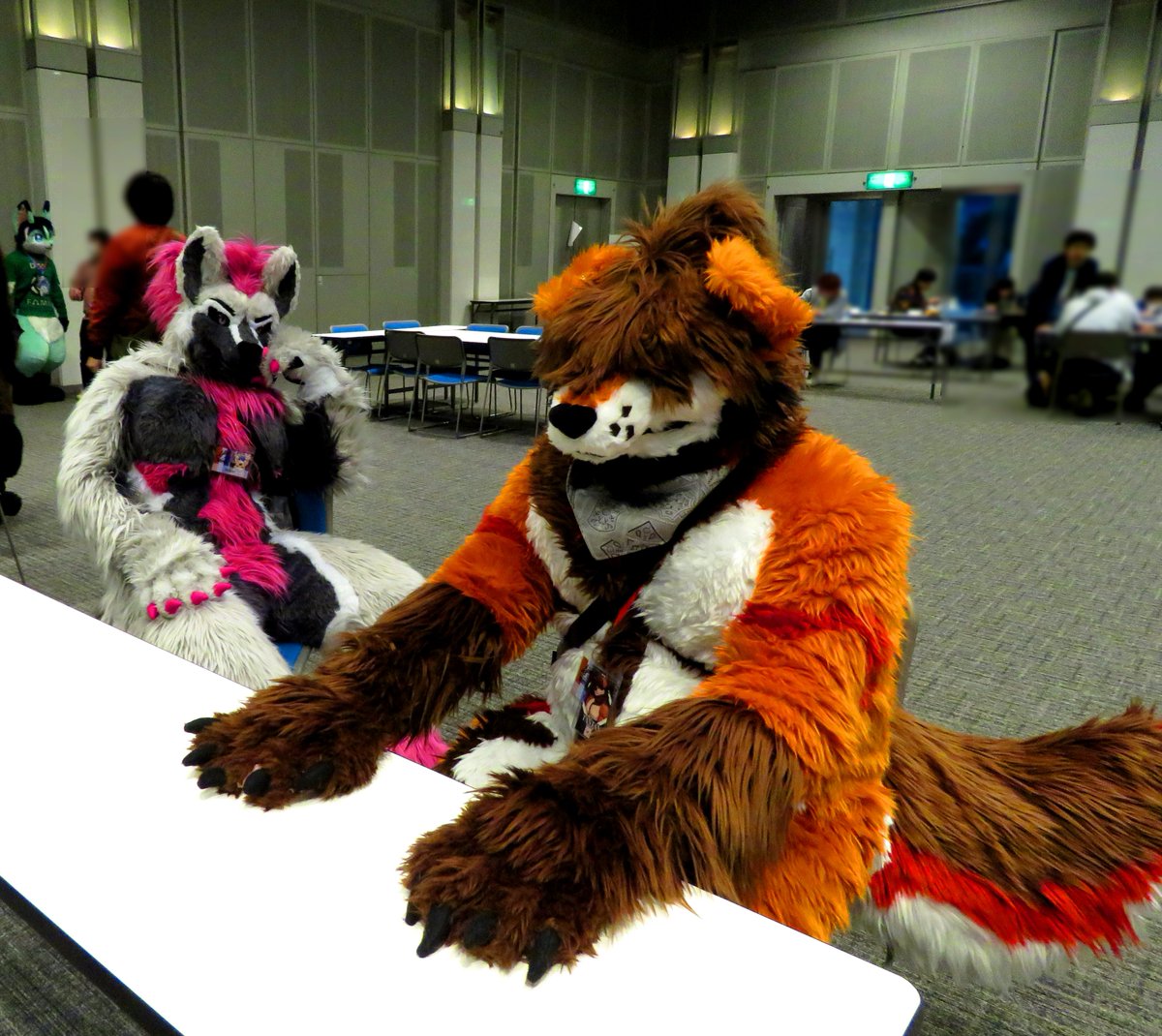 バリーさんとこの…🐺🐶　しゅき…　#ぱ #FurryPark