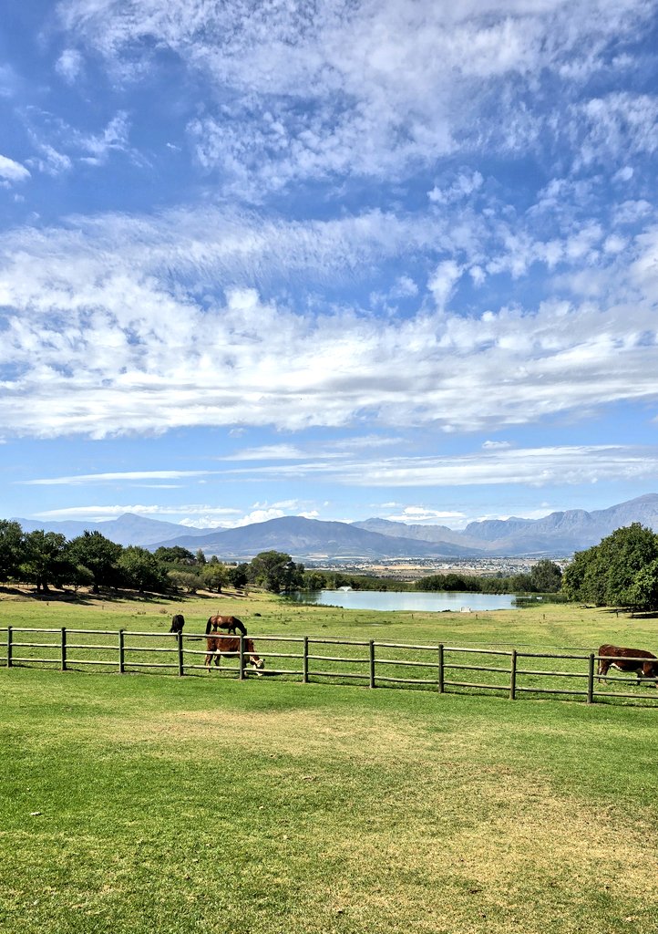 And the view of the week goes to... 
This picture-perfect one from Under Oaks Estate ✨️🥰

#paarl #southafrica