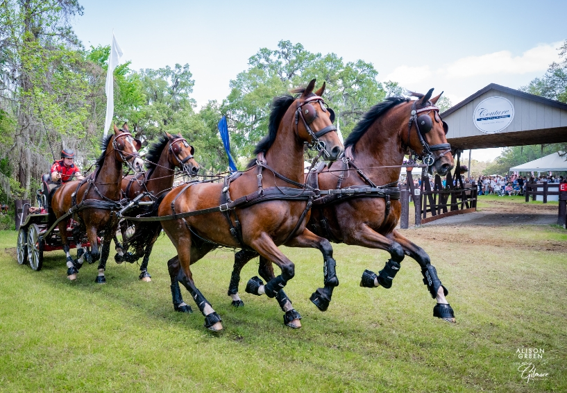 Horcery_'s tweet photo. 📢 Final Day at @LiveOakInt

We're wrapping up an amazing #LOI25! We've loved meeting so many 🐎 owners!

👏 Huge congrats to partner Chester Weber on his #FEI 3 Horse Team Marathon win yesterday!

🚨 Last chance—stop by the VIP tent to chat Horcery tech &amp; grab exclusive swag! https://t.co/p7vDIf3ri9