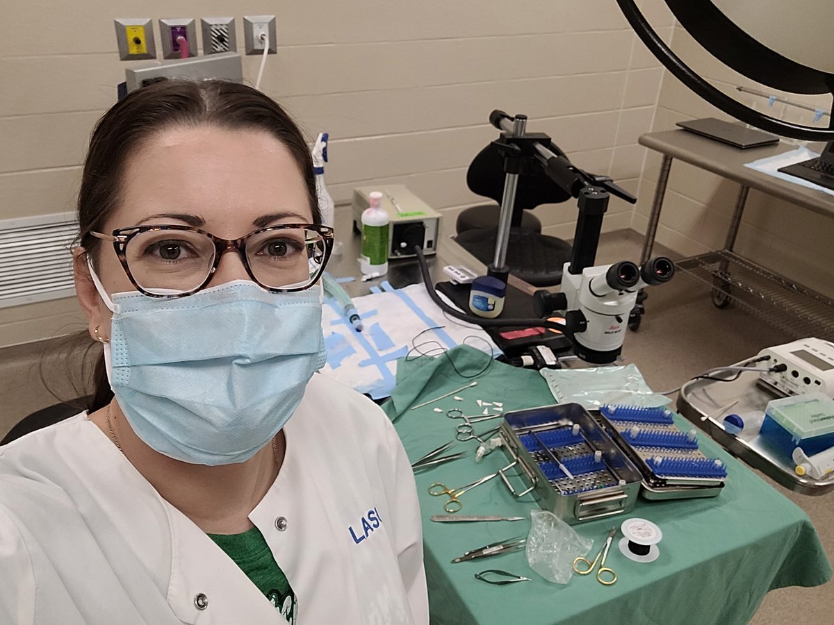 CanLightSource's tweet image. #Throwback to 2022 when researchers @usaskmed @usask used the CLS to help understand how brain differences in men and women could affect post-stroke outcomes. Read the full story: bit.ly/4hgCZU0

#BrainAwarenessWeek #BrainWeek #stroke