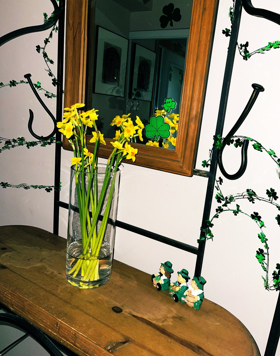alexdebest's tweet photo. 💐 https://t.co/lFfl8mgRrk