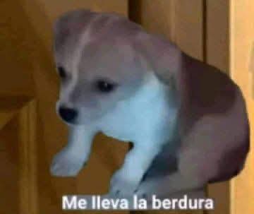 themynoryz's tweet photo. @eladiocarry_on Más posible que tenga novia a qué saques el álbum https://t.co/i9qRMFydc6