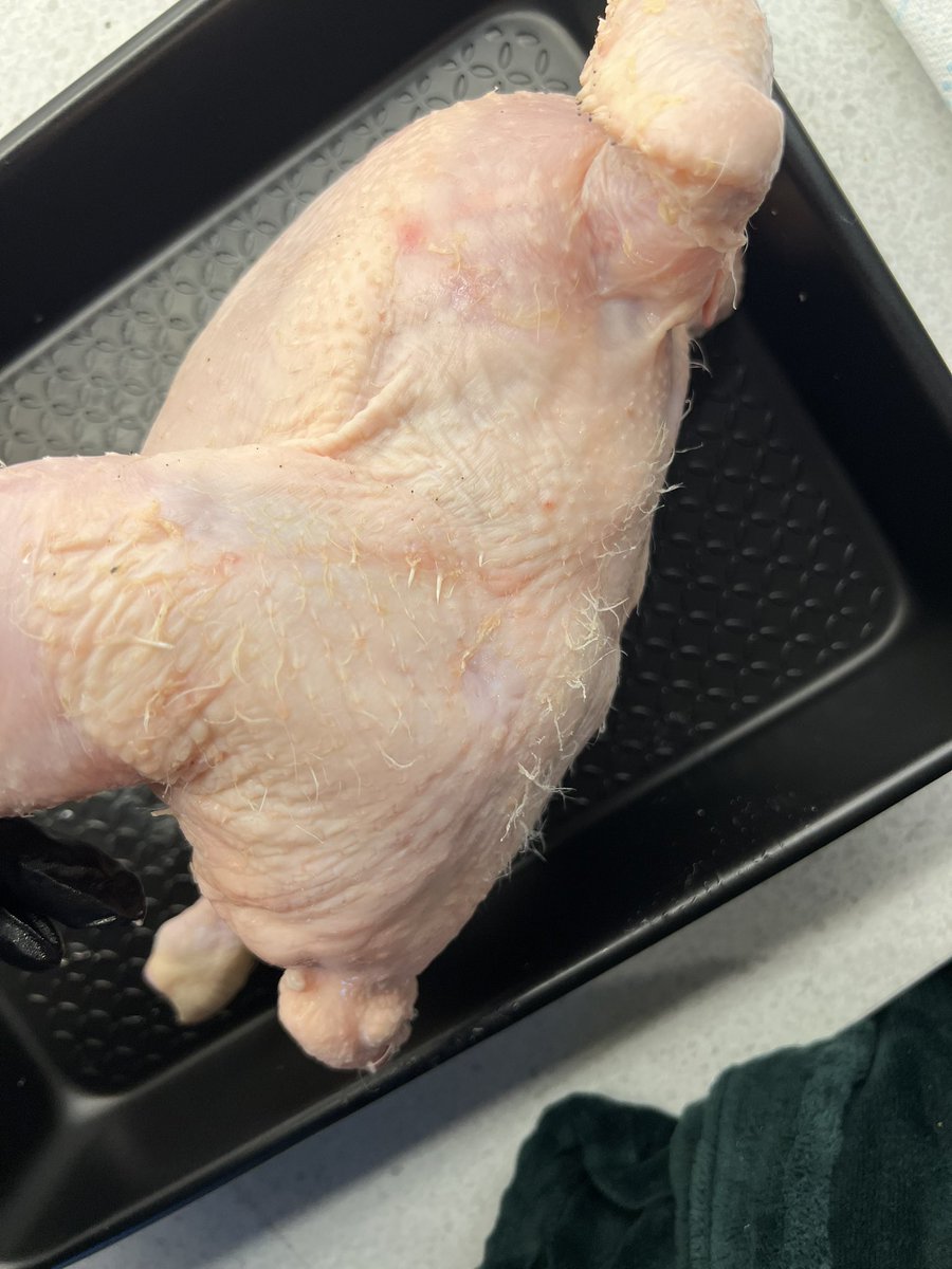 Sam Gill tweet media