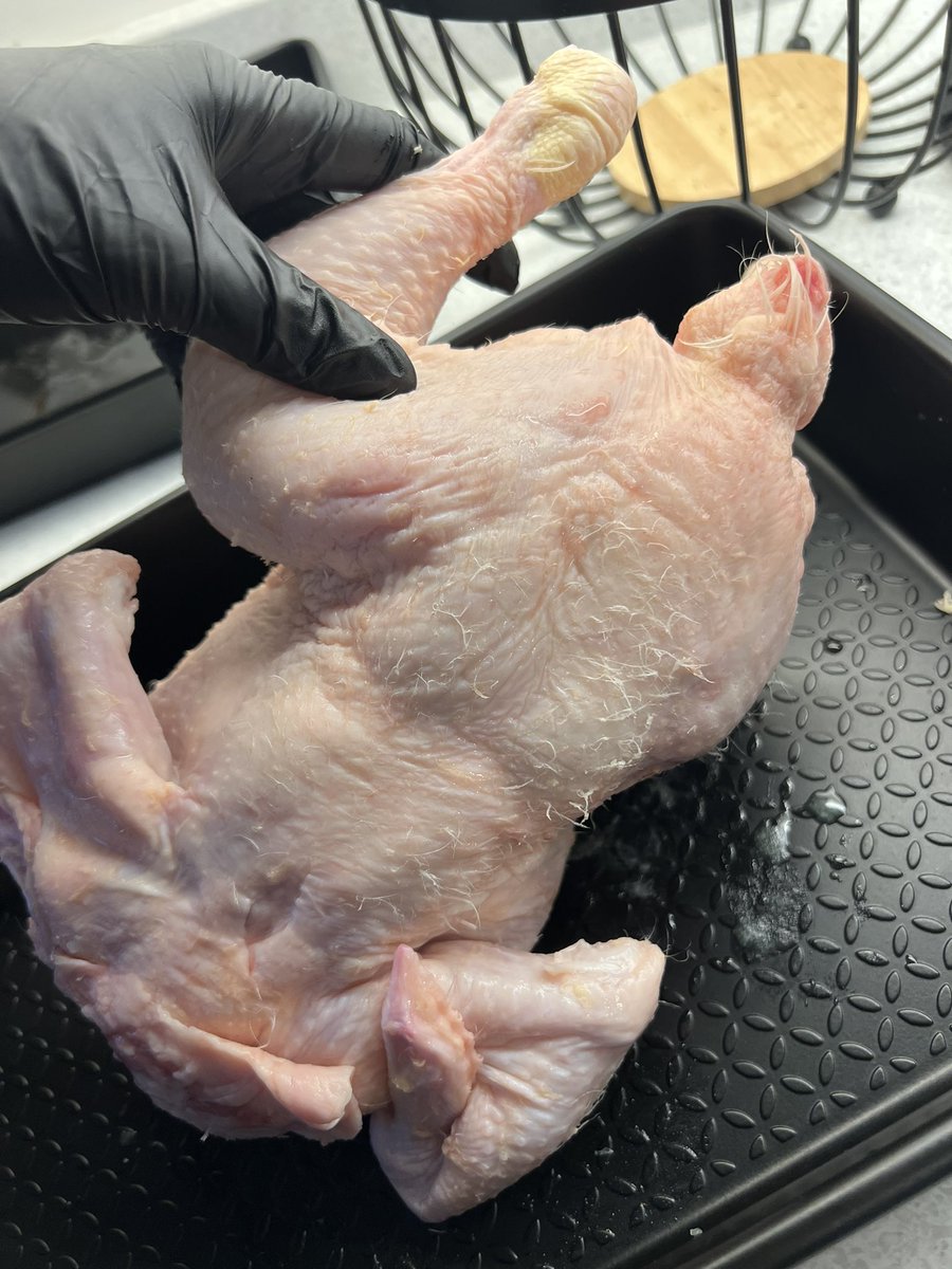 Sam Gill tweet media